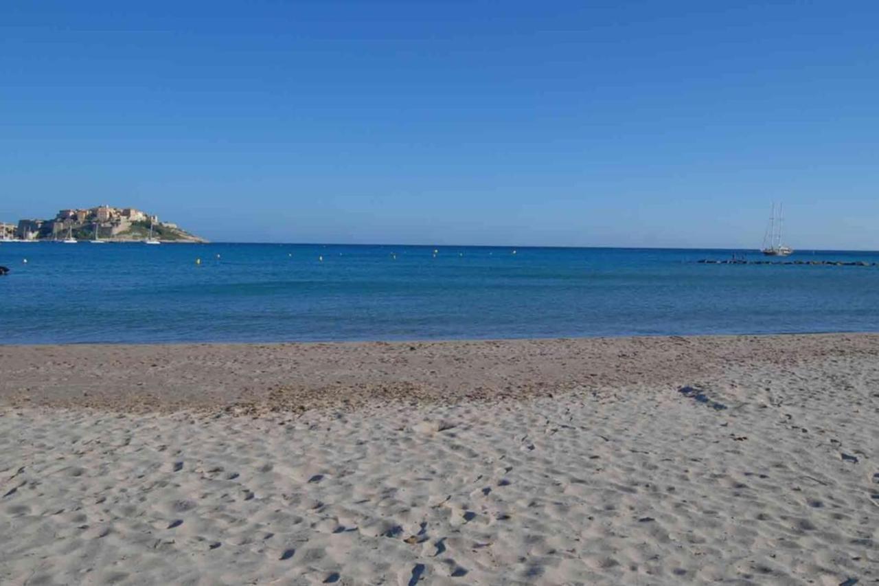 Location De Vacances Olivier Jardin Privatif Et Piscine Chauffee Partagee Calvi (Corsica) Exterior foto